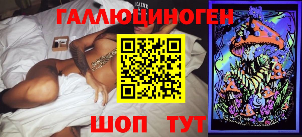 Киров  Псилоцибиновые грибы Cubensis  Вход с VPN 